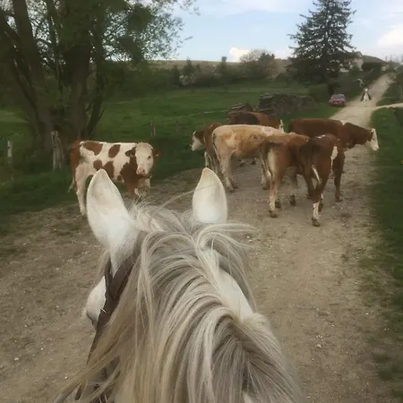 D'hotes La Ferme Du Vallon Moirey