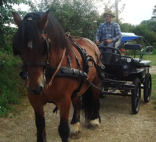 Frühstückspension D'hotes La Ferme Du Vallon 2*