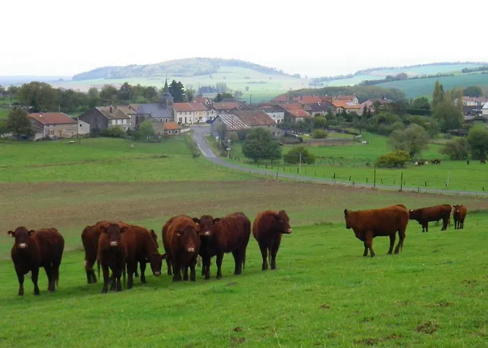 Frühstückspension D'hotes La Ferme Du Vallon Moirey