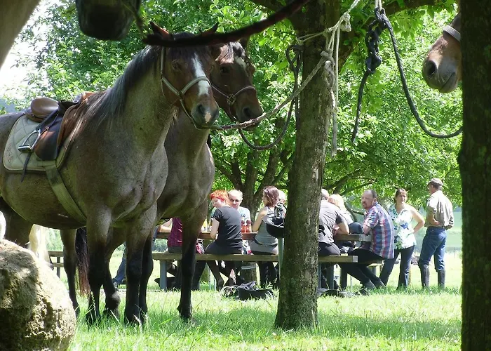 Frühstückspension D'hotes La Ferme Du Vallon Moirey