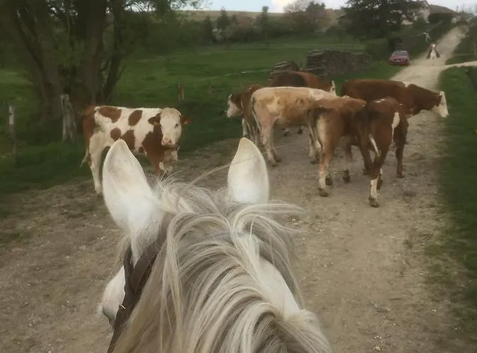 D'hotes La Ferme Du Vallon Moirey